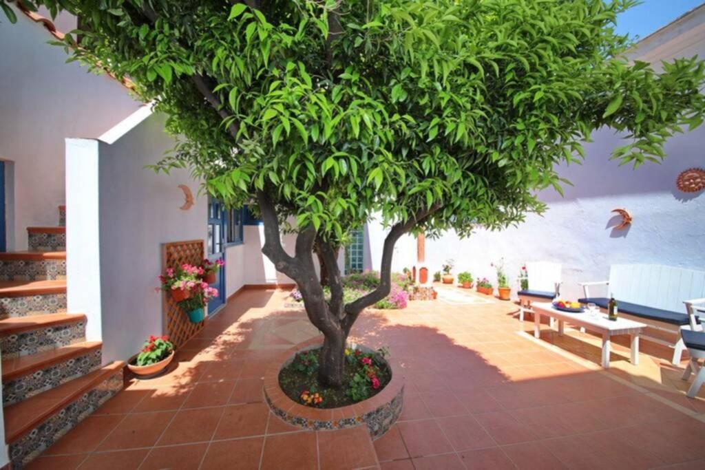 Philoxenia Guest House Skopelos Zewnętrze zdjęcie