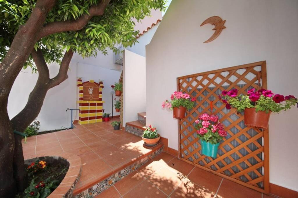 Philoxenia Guest House Skopelos Zewnętrze zdjęcie